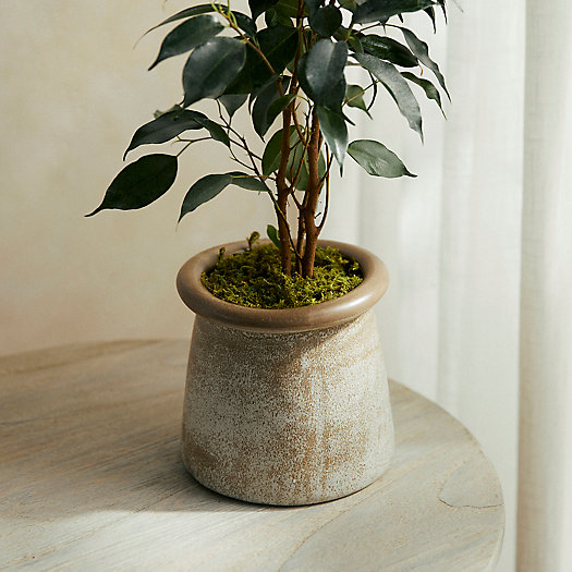 View larger image of Rounded Top Ceramic Pot