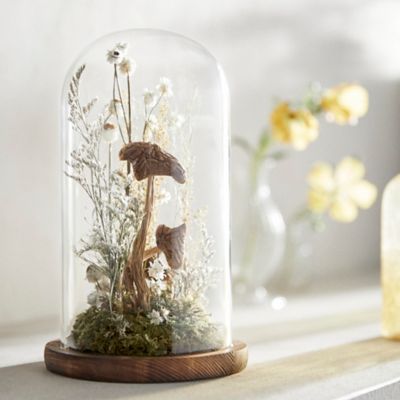 Dried Florals  Terrarium Therapy