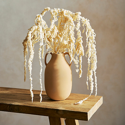 View larger image of Bleached Hanging Amaranthus Bunch