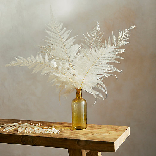 View larger image of Bleached Fern Leaf Bunch