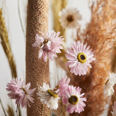 Dried Wildflower Bouquet – Camino