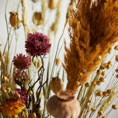 5 Tips to Grow Stunning Strawflowers in Your Kitchen Garden