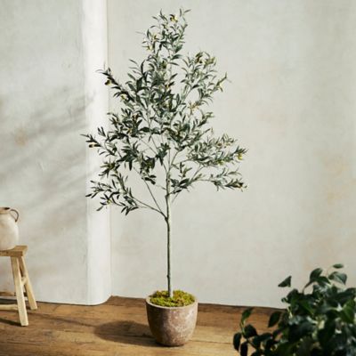 Faux Olive Trees