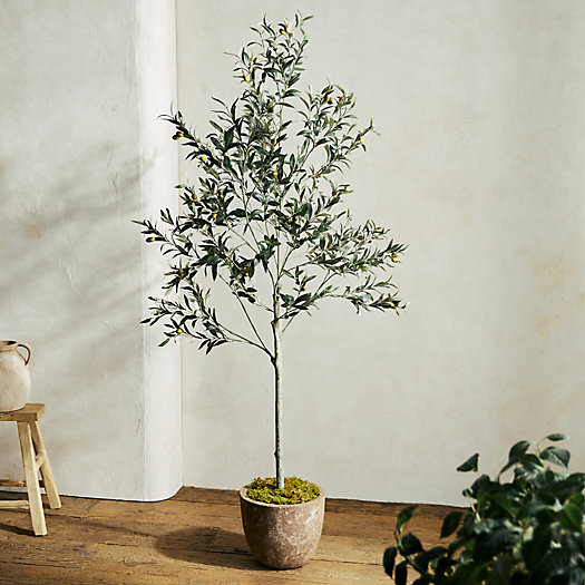View larger image of Faux Olive Tree, 6'
