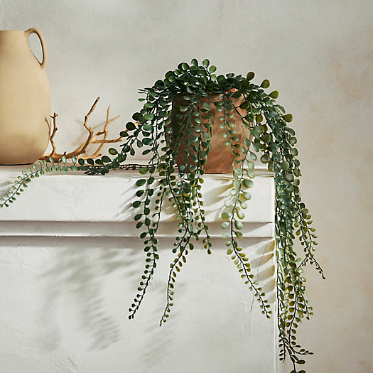 View larger image of Faux Hanging Button Fern