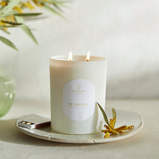 View larger image of Linnea Candle, Mimosa