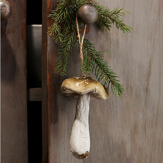 View larger image of Wild Mushroom Foam Ornament