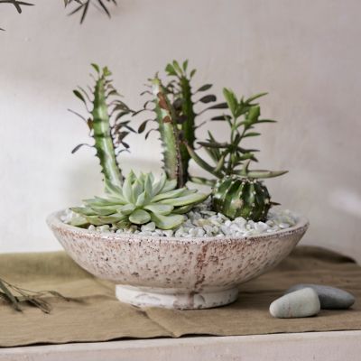 Flower Planter undefined5 inch Ceramic Plant Pots with Drainage Hole and  Ceramic Tray - Gardening Home Decoration - 8' x 10' - Bed Bath & Beyond -  34234878