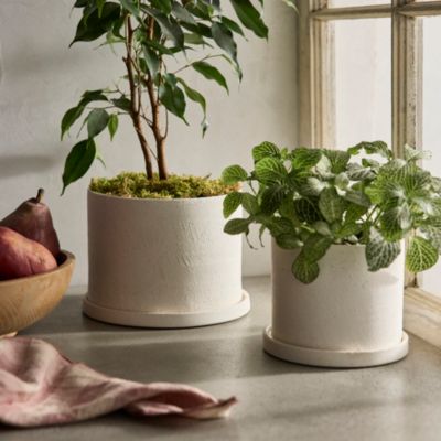 Easton Ceramic Pot + Saucer Set