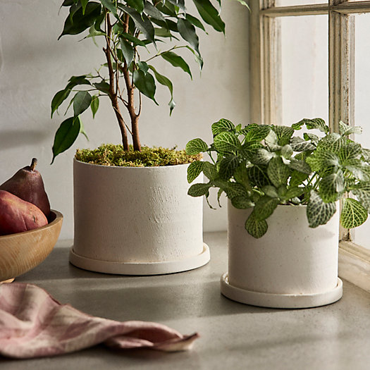 View larger image of Easton Ceramic Pot + Saucer Set