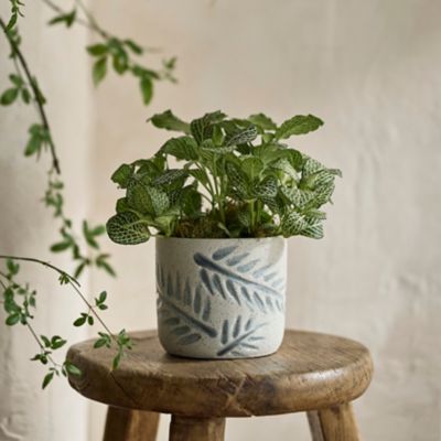 Tall Geo Terracotta Planter - Terrain