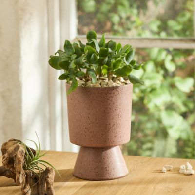 Planters by Size  Small, Medium, Large + Extra Large Plant Pots - Terrain