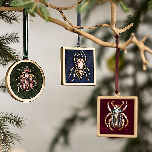 View larger image of Framed Beetle Ornaments, Set of 3