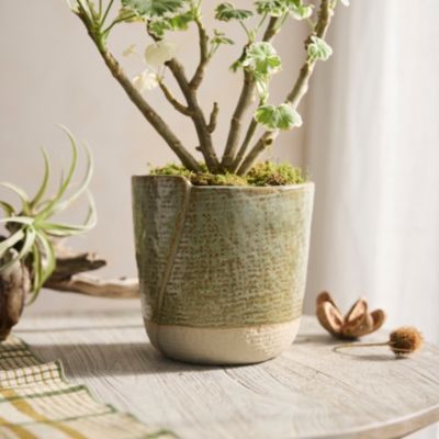 Extra Small Planters  Small Indoor Pots, Saucers + Planters - Terrain