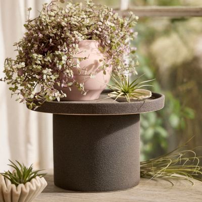 Brown Cast Iron Arch Wall Hanging Flower Pot Holder Mounted