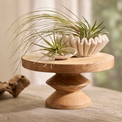 Plant Trays + Dishes  Garden Trays, Dishes + Plant Stands - Terrain