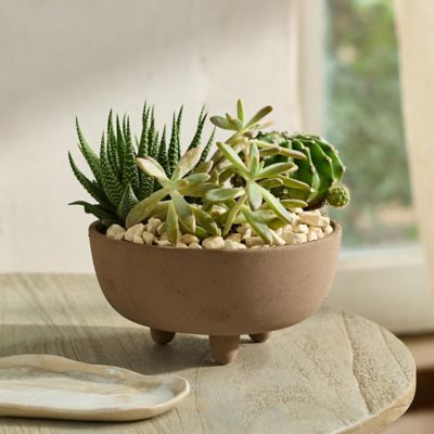 Stoneware Footed Planter