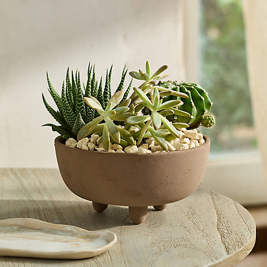 View larger image of  Textured Ceramic Footed Bowl Planter
