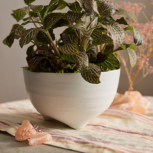 View larger image of Ceramic Bowl Planter with Feet