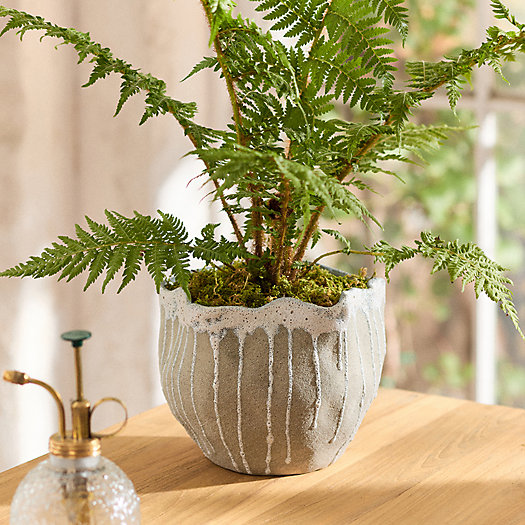 View larger image of Drip Organic Ceramic Pot