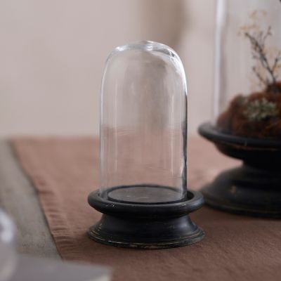 Glass Cloche with Distressed Wood Pedestal Base - Terrain