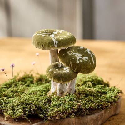 Mushroom Jar - Moss Green