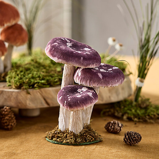 View larger image of Velvet Mushrooms, Set of 3 Small
