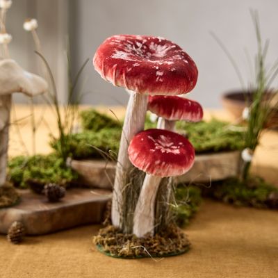  Velvet Mushrooms, Set of 3 Large