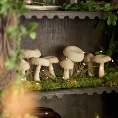 Forest Mushroom Coir Doormat - Terrain