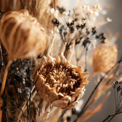 Dried Palm, Protea, Queen Anne's Lace Bouquet - Terrain