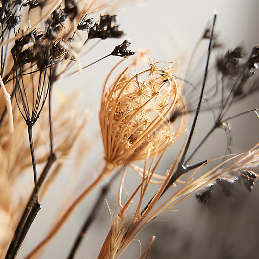 View larger image of Dried Palm, Protea, Queen Anne's Lace Bouquet