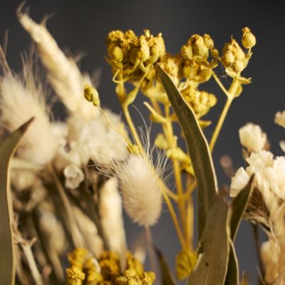 Dried Achillea Bunch Everlasting Dried Flowers Yellow Preserved