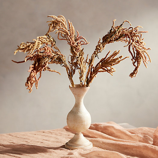 View larger image of Dried Amaranth Bunch