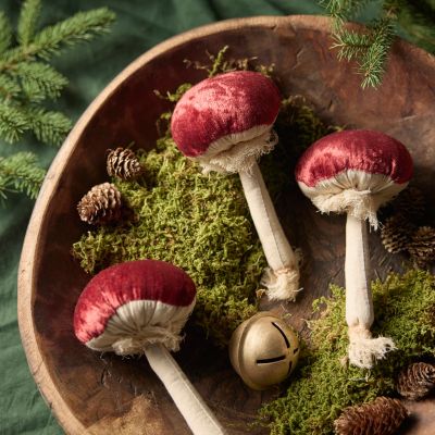 Velvet Mushrooms, Set of 3