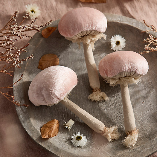 View larger image of Velvet Mushrooms, Set of 3