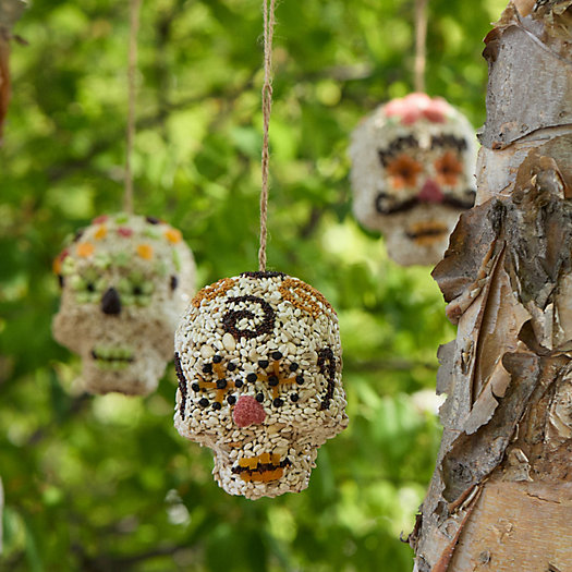 View larger image of Bird Seed Sugar Skull Ornament 