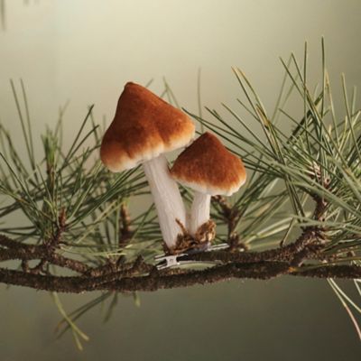 Mushroom Velvet Clip Ornament