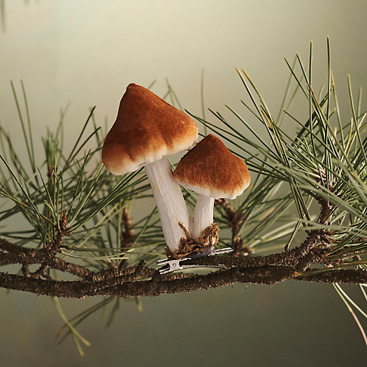 View larger image of Mushroom Velvet Clip Ornament