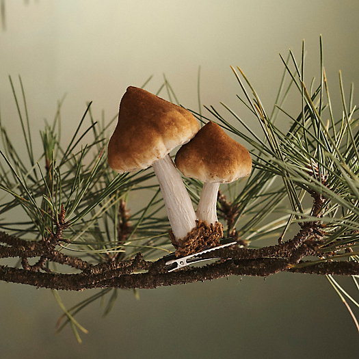 View larger image of Mushroom Velvet Clip Ornament