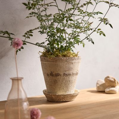 Planters by Size  Small, Medium, Large + Extra Large Plant Pots - Terrain