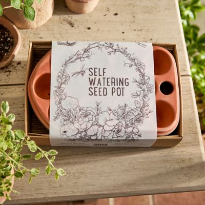 Self-watering seed pot, Non-toxic Terracotta seed tray