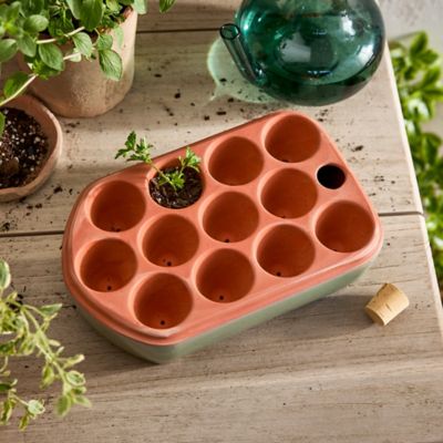 Self-watering seed pot, Non-toxic Terracotta seed tray