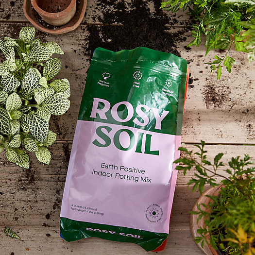 View larger image of Rosy Soil Earth Positive Indoor Potting Mix