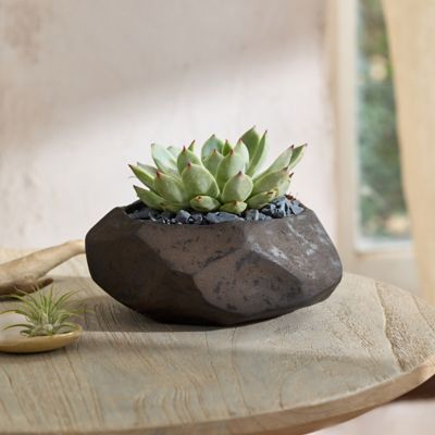 Barnacle Tall Modern Pot, 16