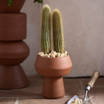 Pedestal Bowl Terracotta Planter