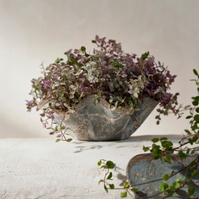 Iron Handkerchief Planter
