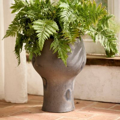 Otto Curved Urn Planter
