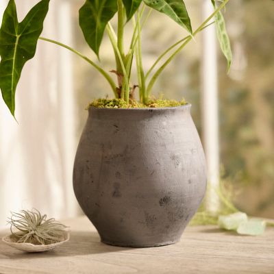 Barnacle Tall Modern Pot, 16