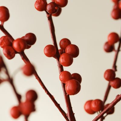 Red Artificial Bittersweet Berry Branch - 41