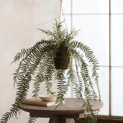 Faux Moss Wall with Ferns